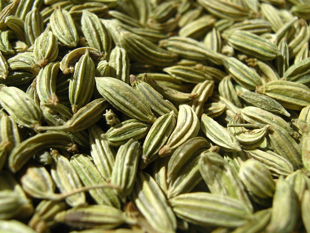 Saunf seeds