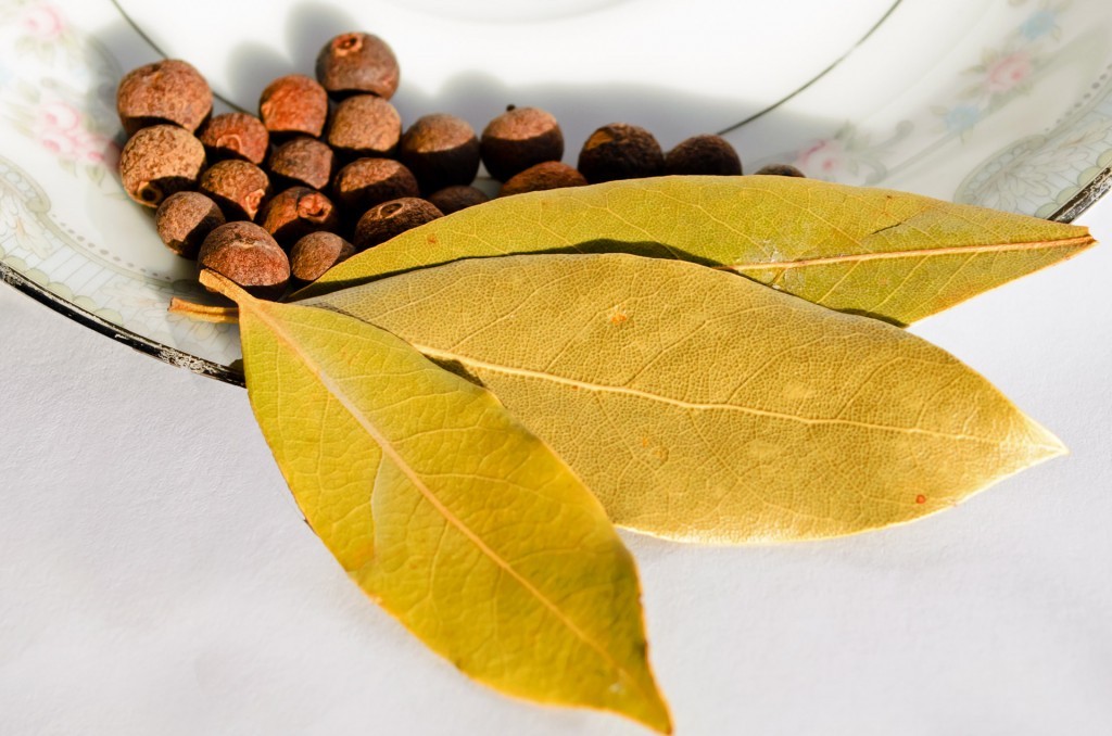 bay leaf medicinal uses