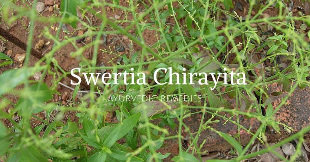 chirayata