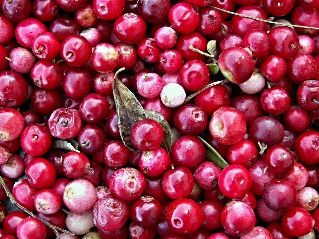 cranberry